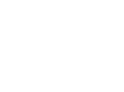 ICELEAK
